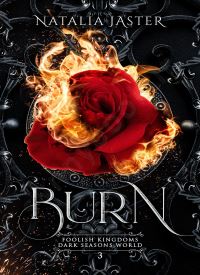 Burn (Foolish Kingdoms 3)
