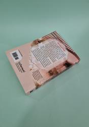 You've Got Mail: The Perils of Pigeon Post - Fei Ge Jiao You Xu Jin Shen (Novel) Vol. 1 thumb 1 5