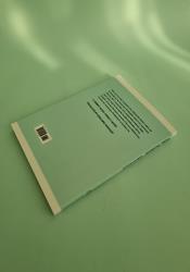 Child of Fortune thumb 1 5