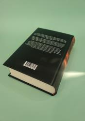 The Rise of Endymion (Hyperion Cantos 4) thumb 2 4