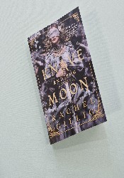 The Knave and the Moon (The Stonewater Kingdom 2) thumb 1 5