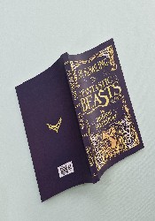 Fantastic Beasts and Where to Find Them: The Original Screenplay thumb 1 4