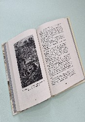 The Secret Garden thumb 1 5