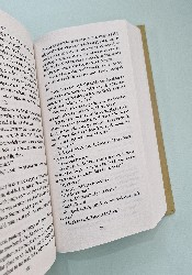 The Goldfinch thumb 1 3