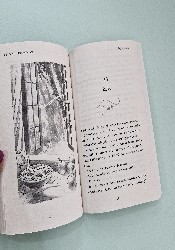 The ​Mirror of Infinite Endings (Once Upon a Broken Heart 3.5) thumb 1 4